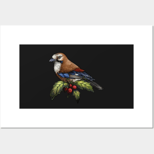 Holiday Bird Eurasian Jay Posters and Art